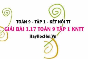 Giải 1.17 Toán 9 tập 1 SGK Kết nối tri thức